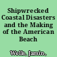 Shipwrecked Coastal Disasters and the Making of the American Beach /