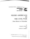 Negro Americans in the Civil War; from slavery to citizenship /