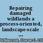 Repairing damaged wildlands a process-oriented, landscape-scale approach /