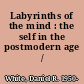 Labyrinths of the mind : the self in the postmodern age /