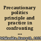 Precautionary politics principle and practice in confronting environmental risk /
