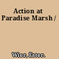 Action at Paradise Marsh /