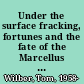 Under the surface fracking, fortunes and the fate of the Marcellus Shale /