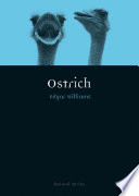 Ostrich /