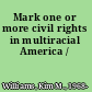 Mark one or more civil rights in multiracial America /