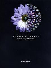 Invisible images : the silent language of architecture and the selected works of Beverly Willis /