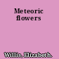 Meteoric flowers