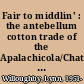 Fair to middlin' : the antebellum cotton trade of the Apalachicola/Chattahooche [i.e. Chattahoochee] River Valley /