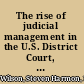 The rise of judicial management in the U.S. District Court, Southern District of Texas, 1955-2000