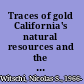 Traces of gold California's natural resources and the claim to realism in western American literature /