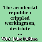 The accidental republic : crippled workingmen, destitute widows, and the remaking of American law /