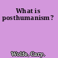 What is posthumanism?