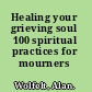 Healing your grieving soul 100 spiritual practices for mourners /