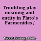 Troubling play meaning and entity in Plato's Parmenides /