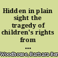 Hidden in plain sight the tragedy of children's rights from Ben Franklin to Lionel Tate /
