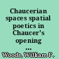 Chaucerian spaces spatial poetics in Chaucer's opening tales /