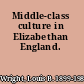 Middle-class culture in Elizabethan England.