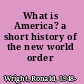 What is America? a short history of the new world order /