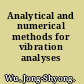 Analytical and numerical methods for vibration analyses