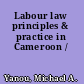 Labour law principles & practice in Cameroon /