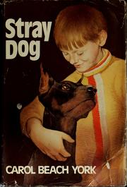 Stray dog /