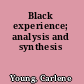 Black experience; analysis and synthesis