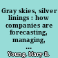 Gray skies, silver linings : how companies are forecasting, managing, and recruiting a mature workforce /